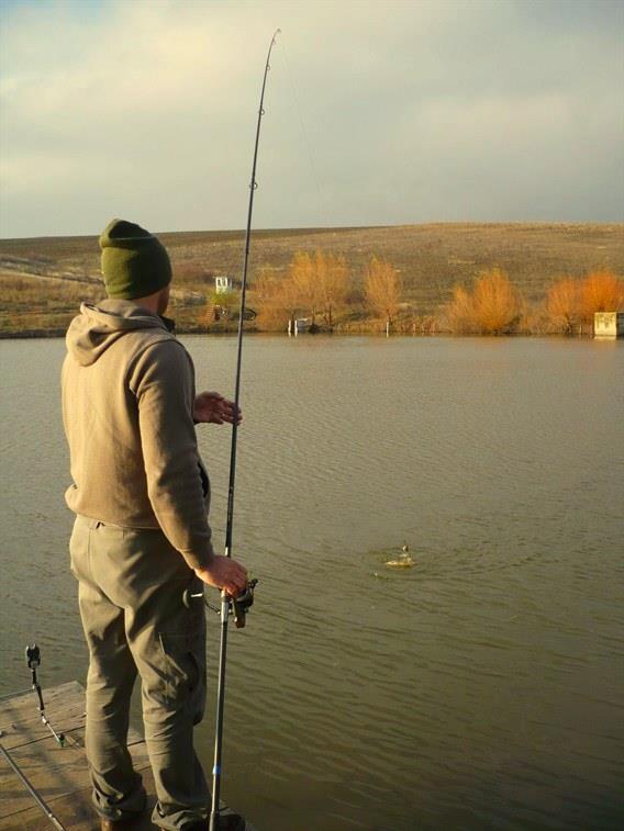 Magura 9 23 - 23 nov. - 19.jpg